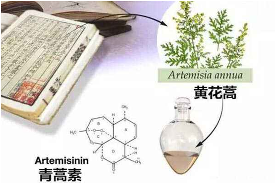 球友会体育平台,球友会体育（中国）：向中医药看齐，与世界共享中医药文化(图1)